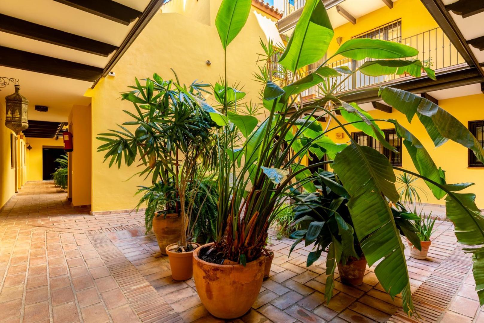 Apartmán Loft En El Corral Del Horno Sevilla Exteriér fotografie